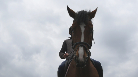 Young man horseback riding outdoor. Male jockey riding a horse on dark cloudy day. Beautiful rainy sky at background. Muzzle of stallion close up.の写真素材