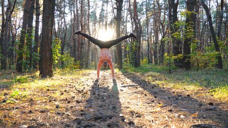 Muscular man doing handstand in forest at beautiful sunset background. Strong gymnast training at scenic environment. Athlete showing performance outdoor. Concept of healthy and active lifestyleの写真素材