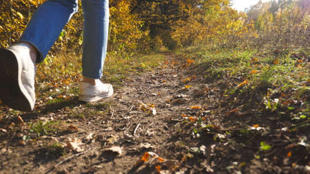 Low view of female feet in sneakers steps along path near forest. Legs of young woman goes among...