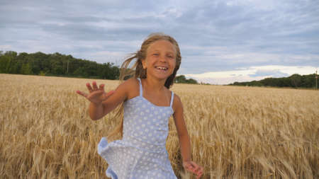 Close up of happy girl with long blonde hair running to the camera through barley field. Little smiling kid jogging over the wheat meadow. Cute child spending time at golden plantation. Slow motionの写真素材