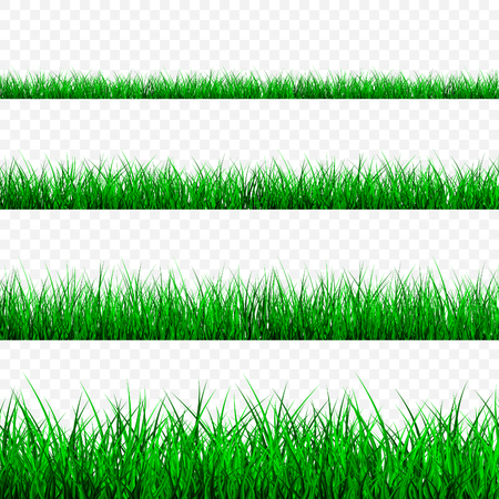 Green Grass Border Set, Vector Illustration.のイラスト素材