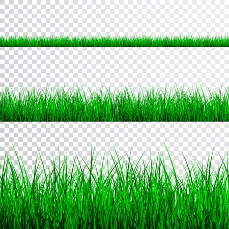 Green Grass Border Set, Vector Illustration.のイラスト素材