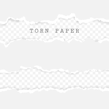 Set of torn paper stripes. Paper texture with damaged edge isolated on transparent background. Vector illustration.のイラスト素材