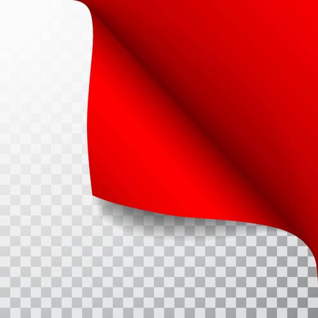 Paper page with curled corner and shadow. Template for your design. Set. Vector illustration.のイラスト素材