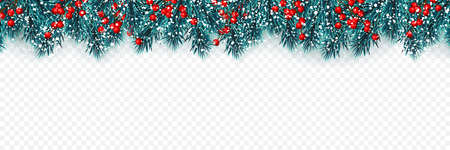 Festive Christmas or New Year Background. Christmas tree branches with holly berries and xmas snow. Holiday's Background. Vector illustration.のイラスト素材