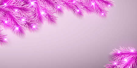 Festive Christmas or New Year Background. Christmas pink spruce branches. Holiday's Background. Vector illustration.のイラスト素材