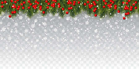 Festive Christmas or New Year Background. Christmas tree branches with holly berries and xmas snow. Holiday's Background. Vector illustration.のイラスト素材