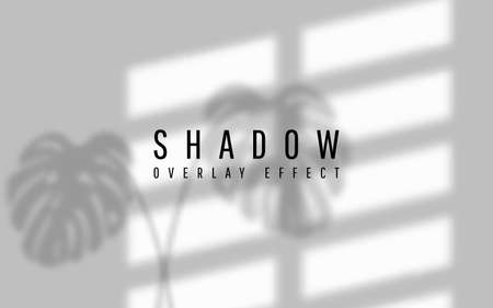 Shadow overlay effect. Transparent shadow of window. Vector illustration.のイラスト素材