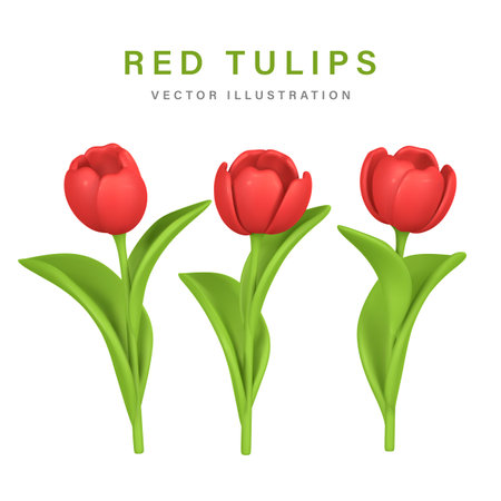 3D Cute colorful spring flower tulip in cartoon style for bouquet or decoration. vector illustration.のイラスト素材