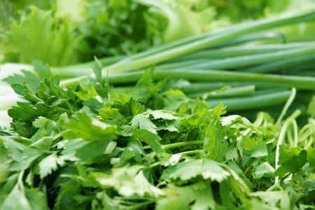 greengrocery assortment with parsley, spring onions, salad leavesの写真素材