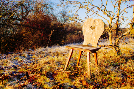 old-fashioned chair under the tree in the sunshineの写真素材