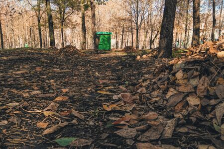 A pile of fallen leaves in the city park. Collected in a pile of dry leaves during cleaning in the...