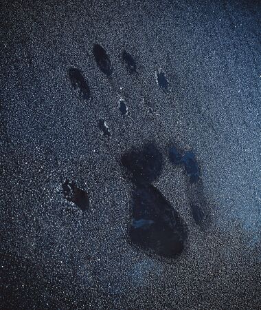 Palm print on the frozen glass. Trace hands and fingers on the window covered with snow frost.の写真素材