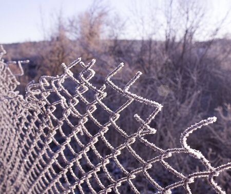 Torn fence of metal mesh covered with frost. Bare trees behind a frozen grid. The concept of freedom...