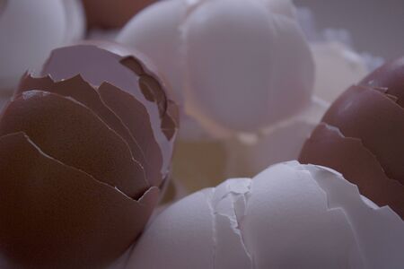 A bunch of eggshells. Broken empty shell without the innards. Lots of cracked empty chicken eggs in...