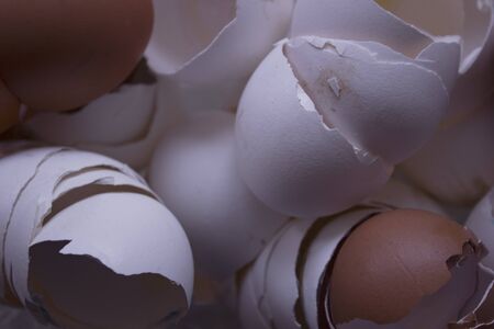 A bunch of eggshells. Broken empty shell without the innards. Lots of cracked empty chicken eggs in...