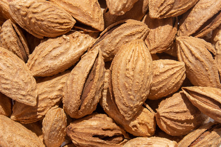 A bunch of almonds close-up. Salted fresh nuts in the shell. The texture of the almonds.