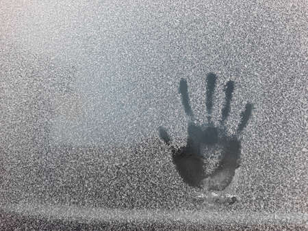 Gentle camouflage gel nail polish with a white gradient. Hands with a professional manicure. Fashionable soft pink coating on the nails with a gradient design on all nails.の写真素材