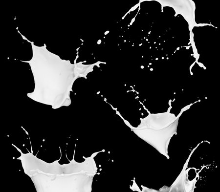 Collection of milk splashes. A splash of milkshake. A set of isolated dairyの写真素材