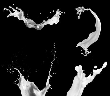 Collection of milk splashes. A splash of milkshake. A set of isolated dairyの写真素材