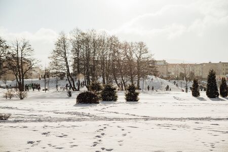 winter sceneの写真素材
