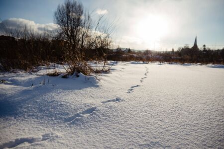 winter scene