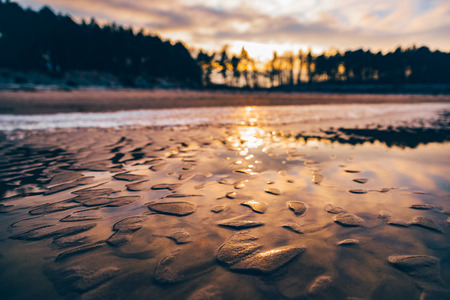 sunset on the beachの写真素材