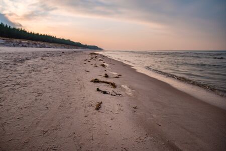 sunset on the beachの写真素材