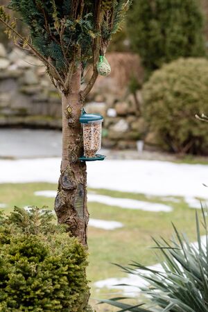 bird feederの写真素材