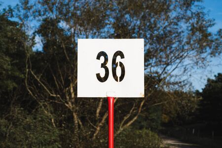 Number 36