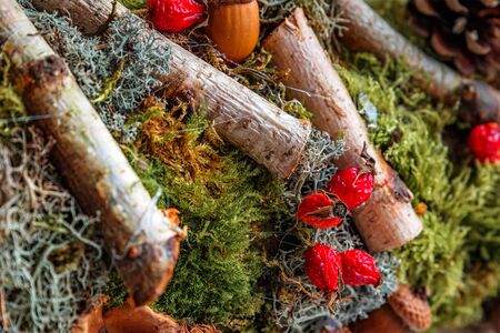 forest decoration for Christmasの写真素材