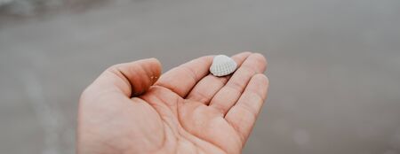 the man is holding a sea shell in his handの写真素材
