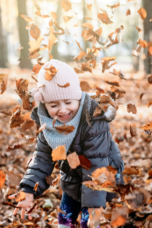 child is playing with leaves that have fallen from the treeの写真素材