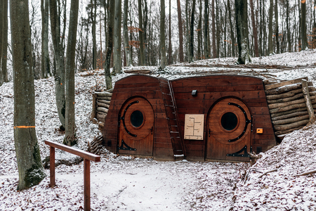 forest hut in winter