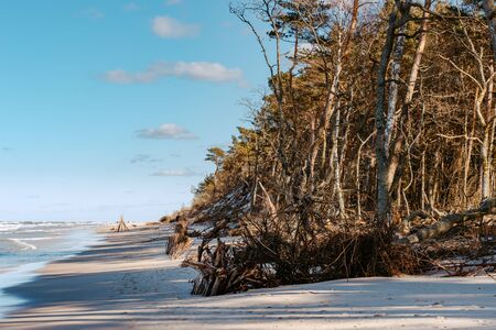 Spring view of the beach on the Baltic Sea in Poland