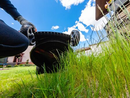 Mowing the grass in the home garden