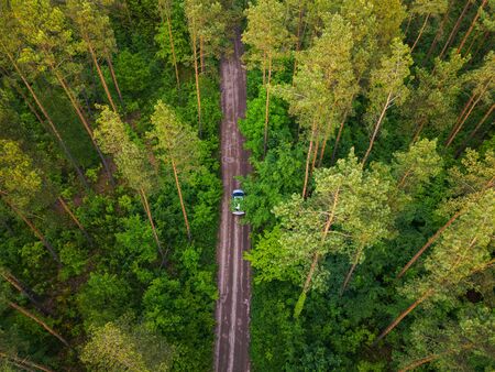 Road leading through the forest, aerial shotの写真素材
