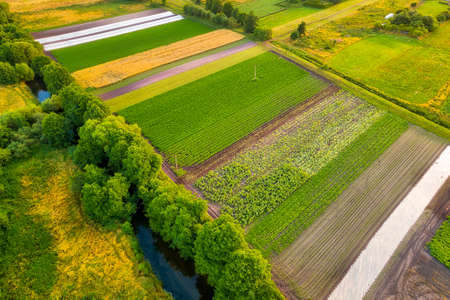 View of farmland during duskの写真素材