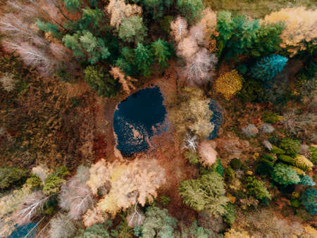 forest stream in autumn scenery view from the droneの写真素材