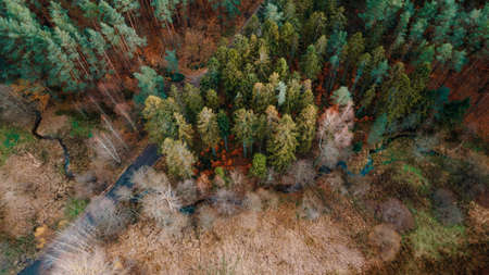 forest road in autumn scenery view from the droneの写真素材