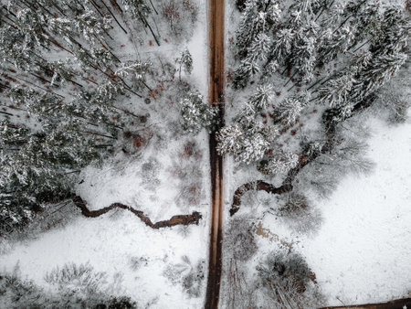 a snowy winter forest through which a small river flows, a photo from the airの写真素材