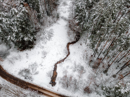 a snowy winter forest through which a small river flows, a photo from the airの写真素材