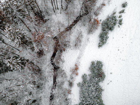 a snowy winter forest through which a small river flows, a photo from the airの写真素材