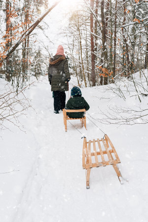 family fun in winter on a sled in the forestの写真素材