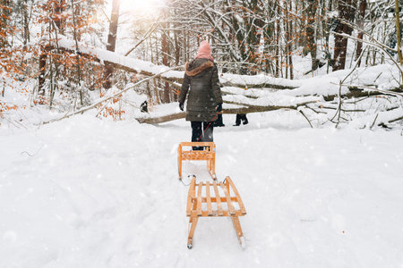 family fun in winter on a sled in the forestの写真素材