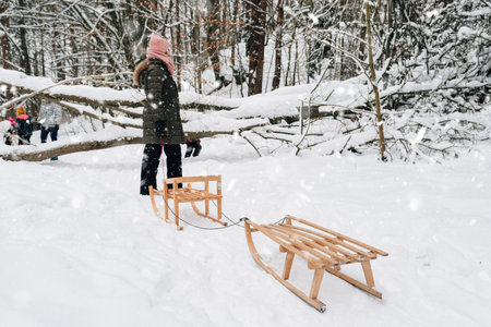 family fun in winter on a sled in the forestの写真素材