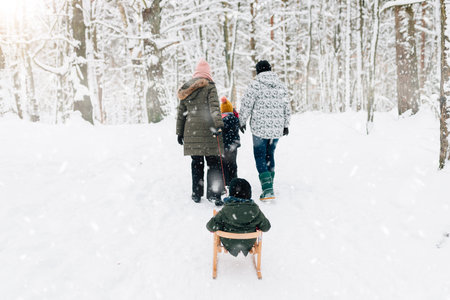 family fun in winter on a sled in the forestの写真素材