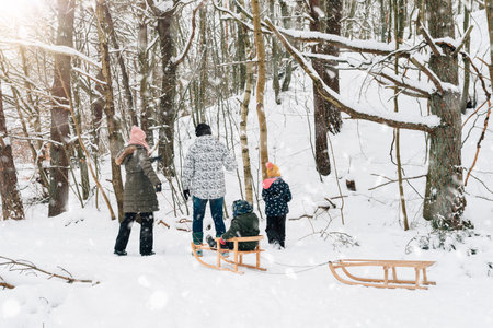family fun in winter on a sled in the forestの写真素材
