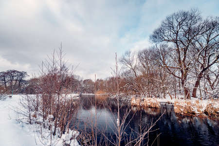 Winter landscape on the river in Redaの写真素材