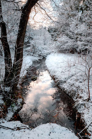 winter landscapes with snow-covered forestの写真素材
